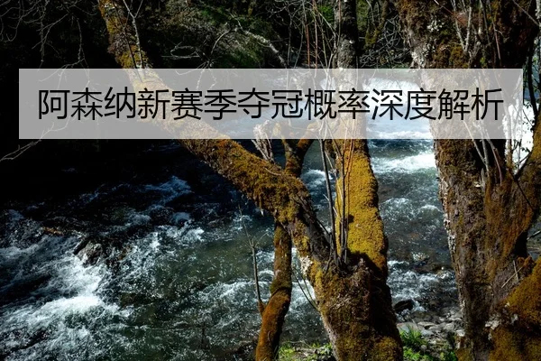 阿森纳新赛季夺冠概率深度解析